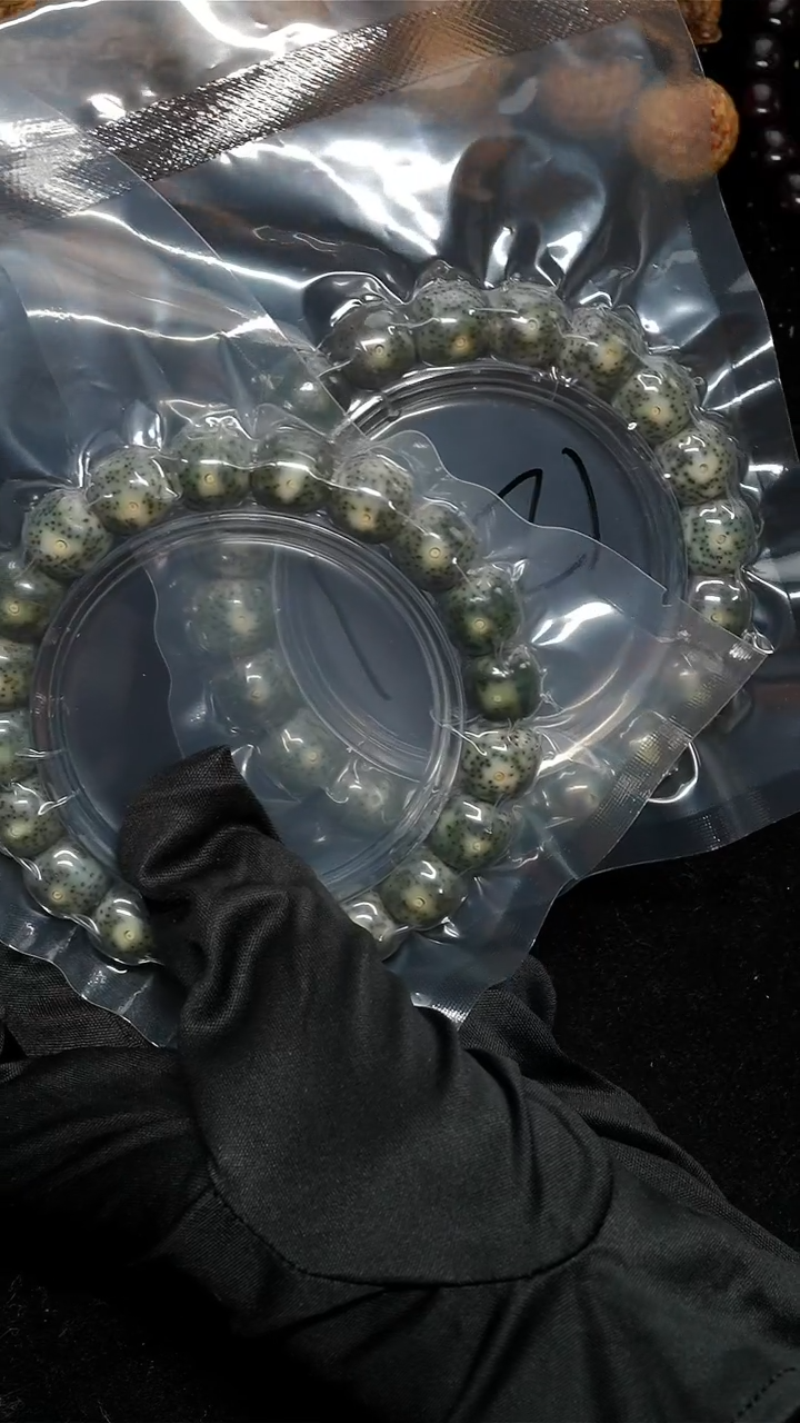 手串星月菩提12*11帝王绿-F01