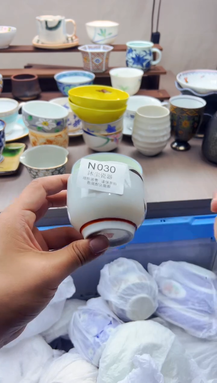 瓷片          N030