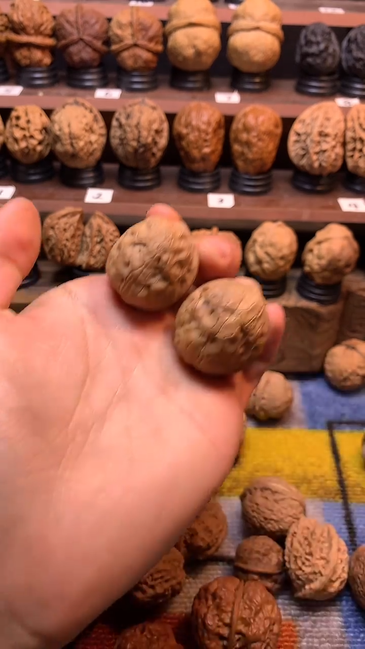 木质云铁玲珑蟾34