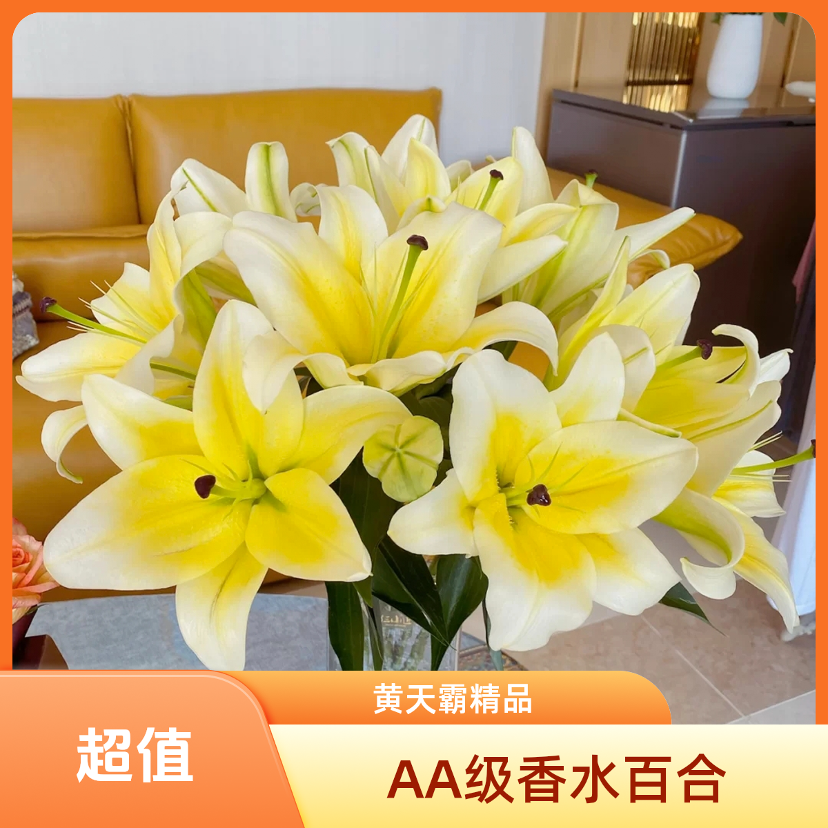黄天霸香水百合花花优质产品【保底18个头】