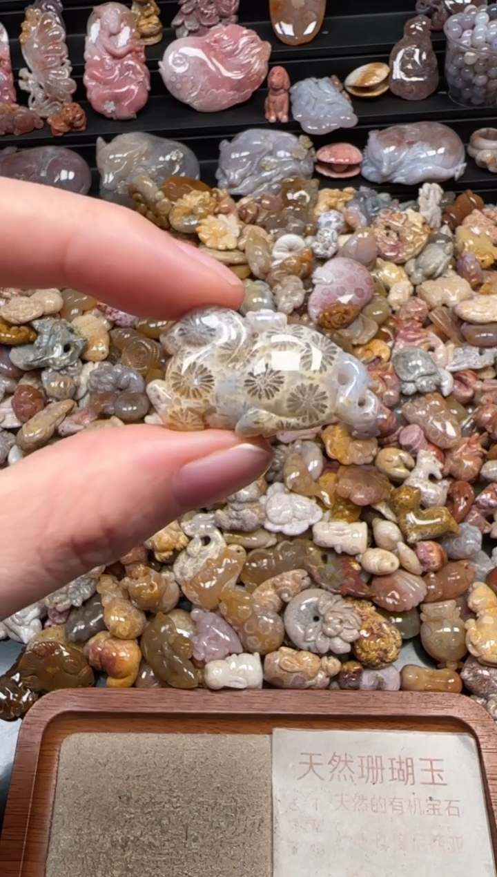 颈饰未镶嵌硅化珊瑚（珊瑚玉）735