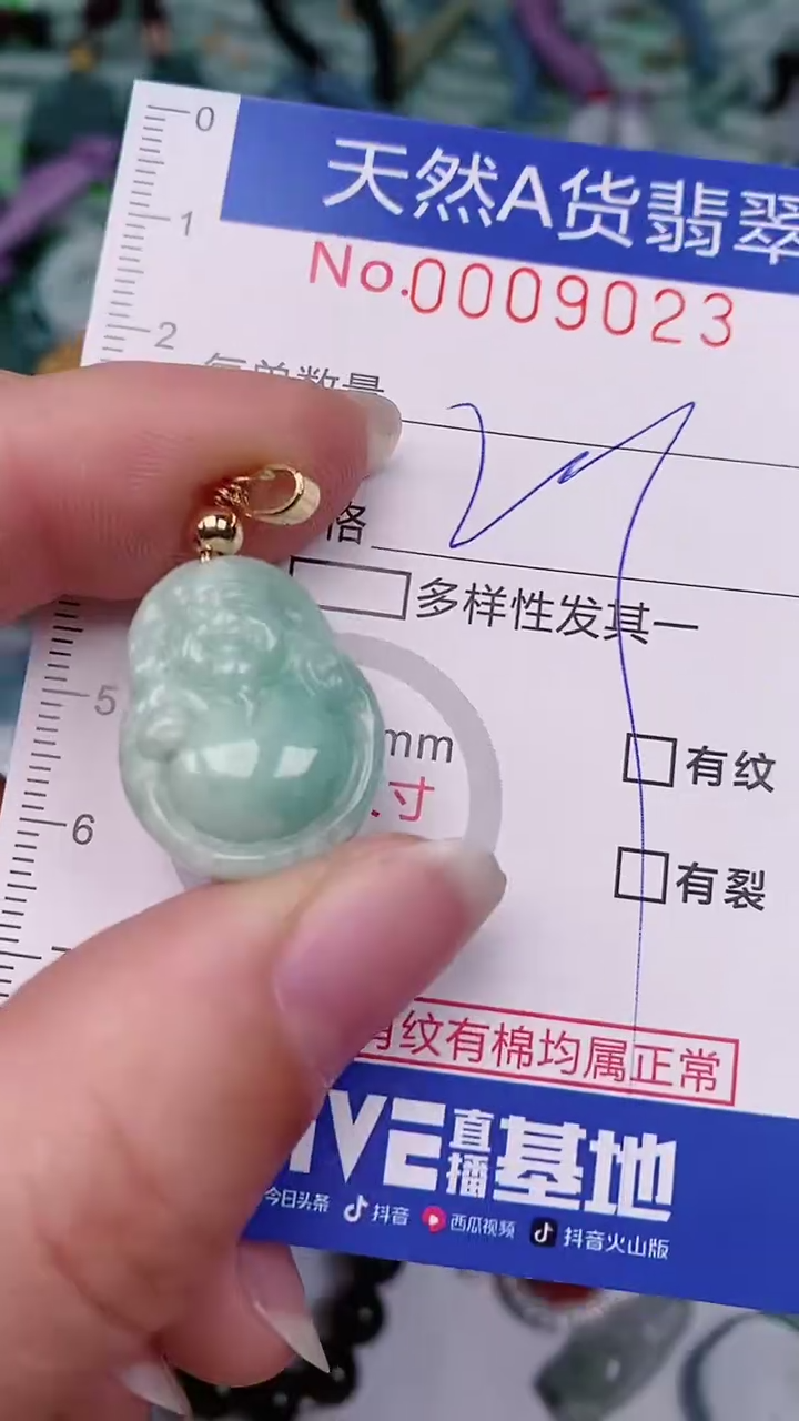 【闪购商品】翡翠颈饰未镶嵌00009023