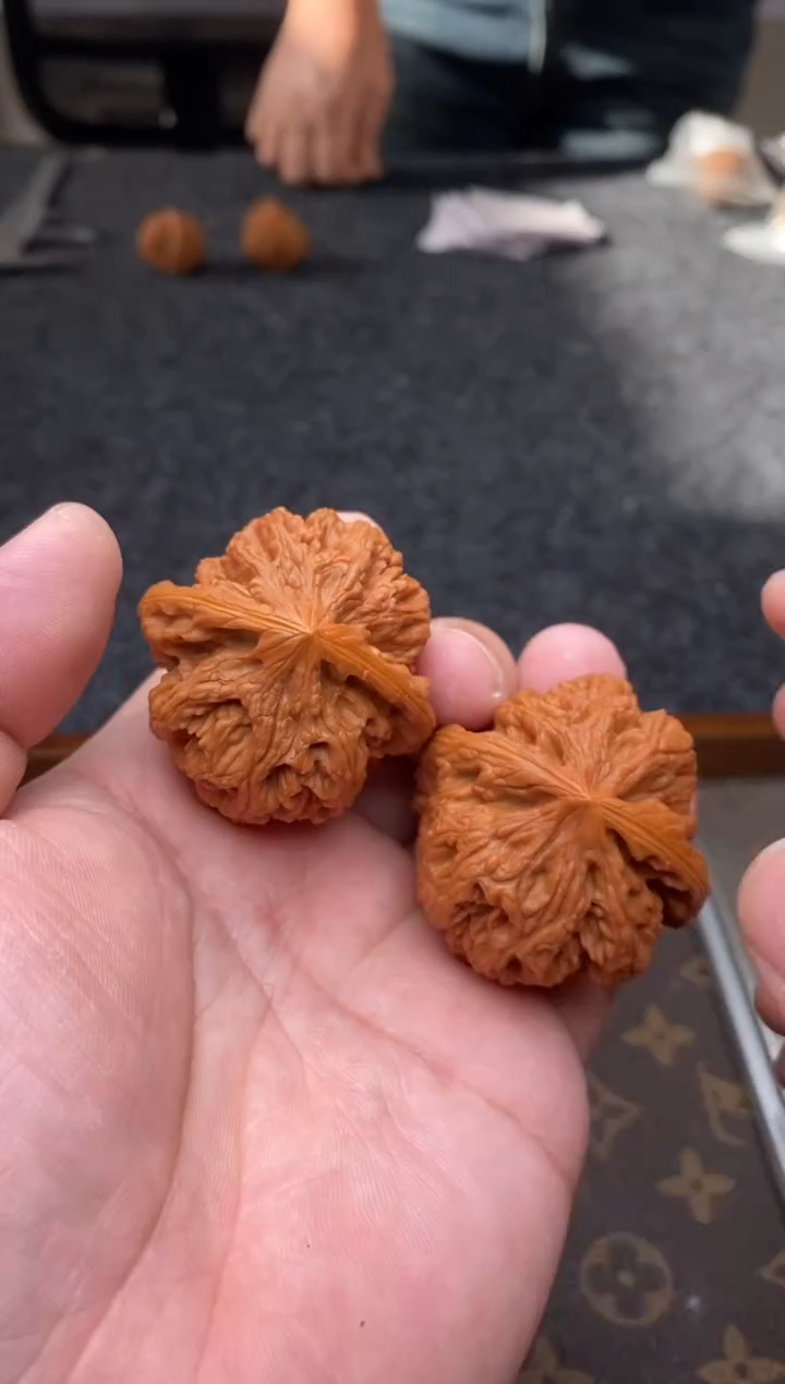 把件文玩核桃B262号44尺粗筋