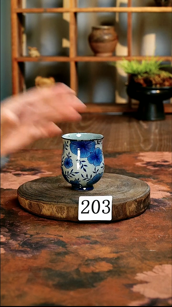 ............203微瑕