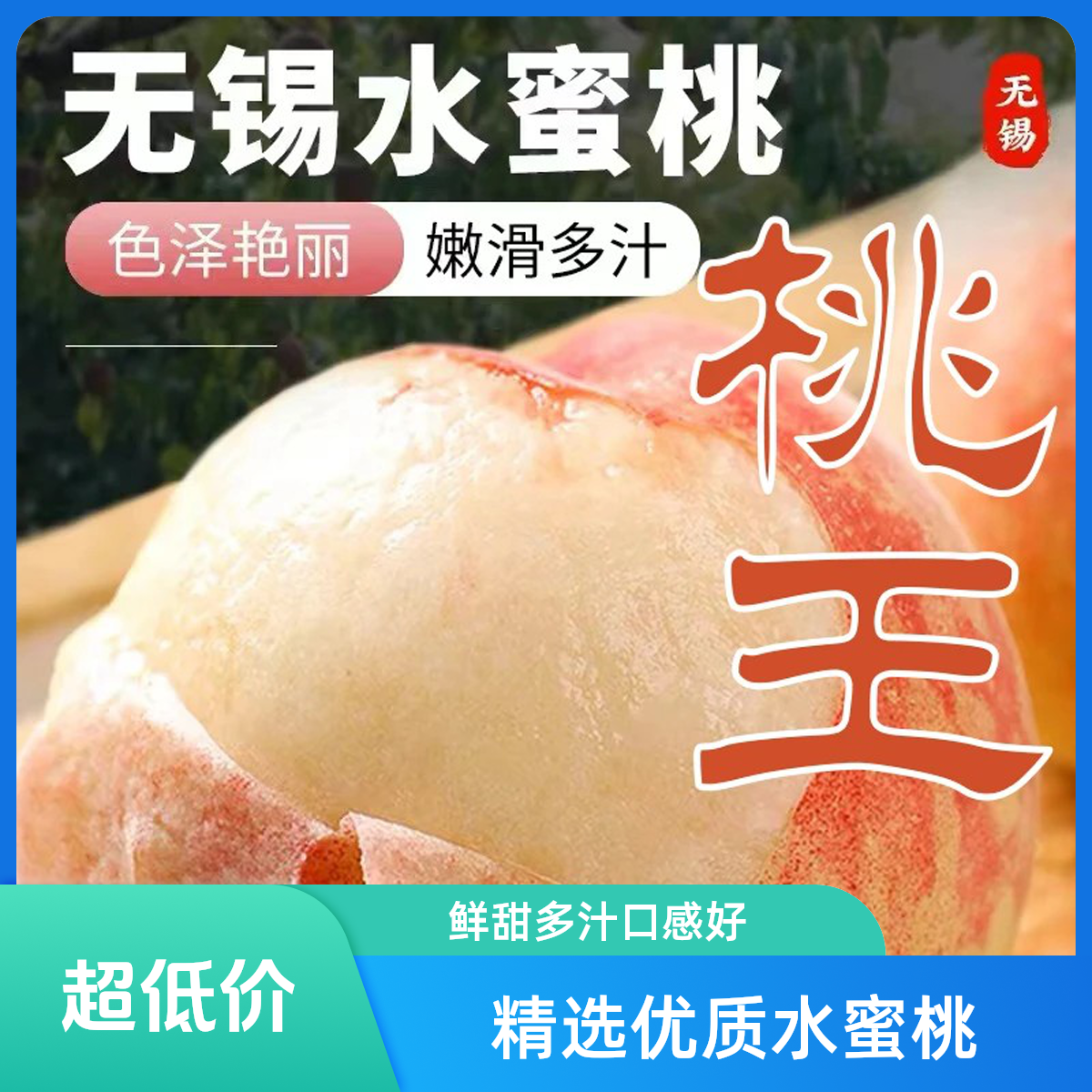 桃王正宗无锡水蜜桃 5-6两 300g+半斤以上单果 买一箱送一箱 新鲜水果香甜爆汁行走榨汁机桃子江苏省江苏省
