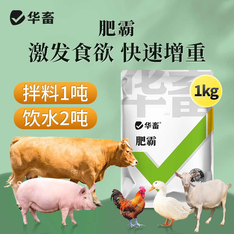 增肥增重猛长拉骨架开胃促猪牛羊鸡鸭鹅催肥饲料添加剂Z