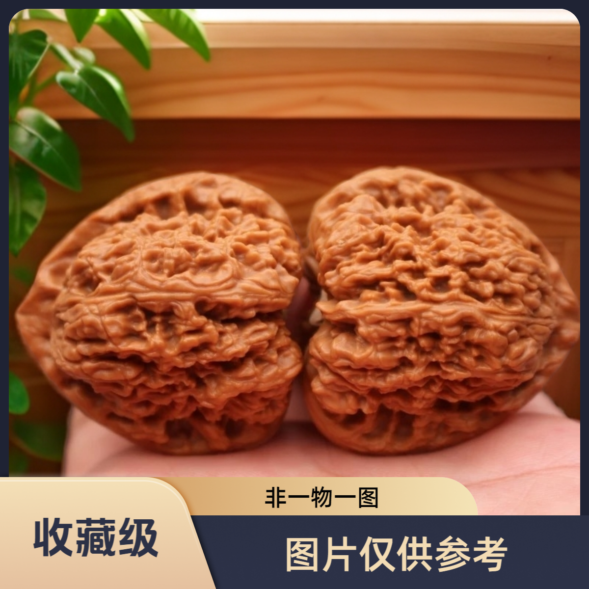 38尺正宗老树原桩涿鹿三角丑南疆文玩核桃适合盘完收藏