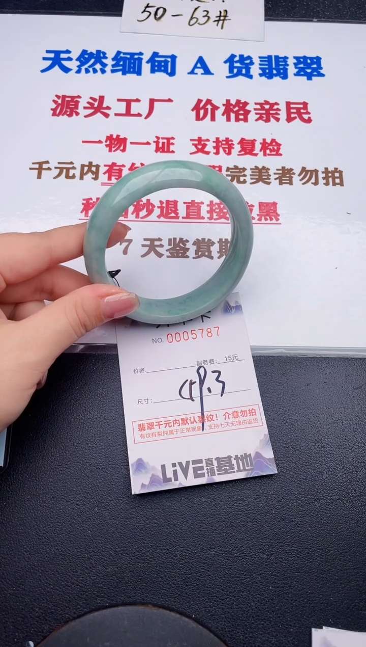 未镶嵌手镯翡翠87