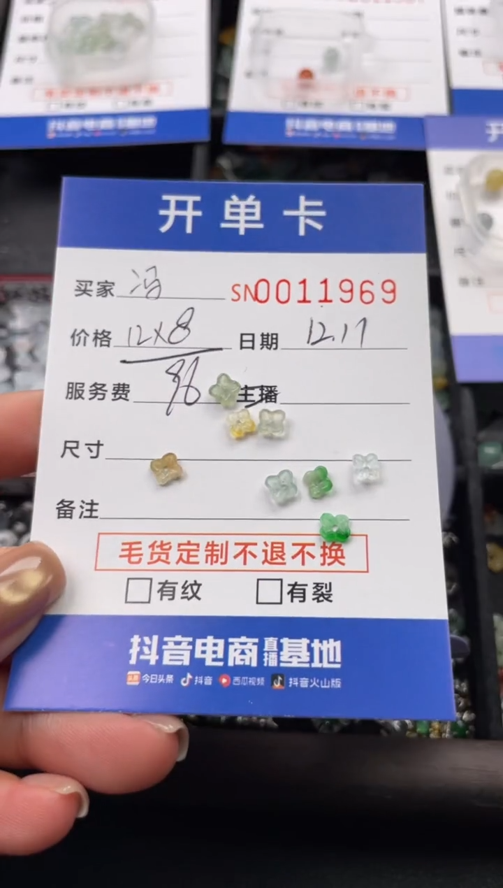 颈饰未镶嵌翡翠冯*亮11969