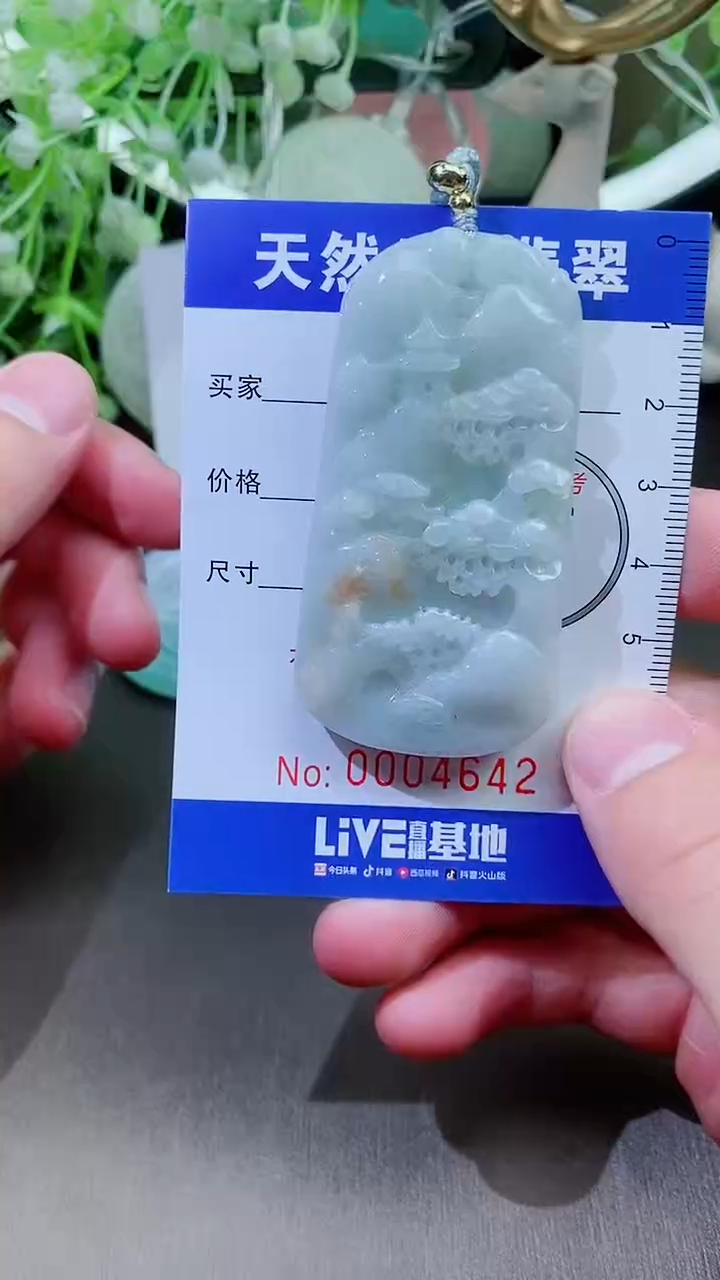【闪购商品】翡翠颈饰未镶嵌天然A货翡翠一件