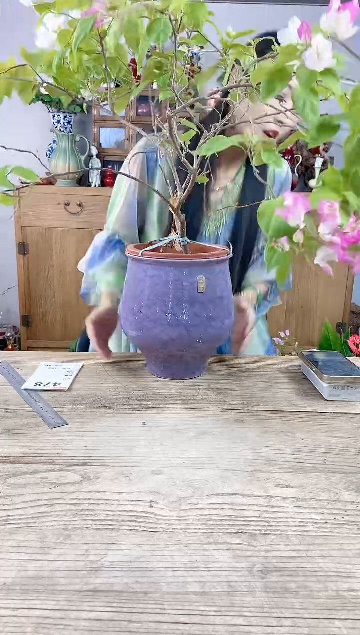 小玩子花盆直播号471