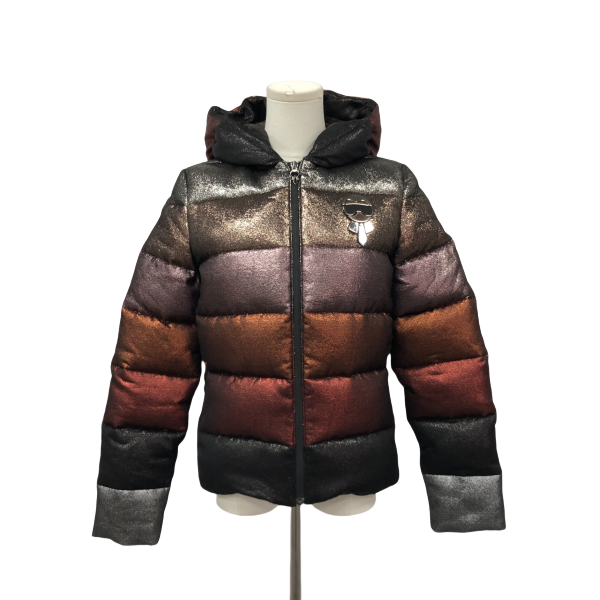 妃鱼/芬迪/棉/羽绒服/95新/z零二一一