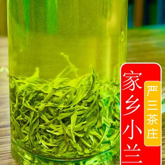 2025新茶庐江汤池【家乡小兰】A11揉捻绿茶浓香庐江县严三茶厂