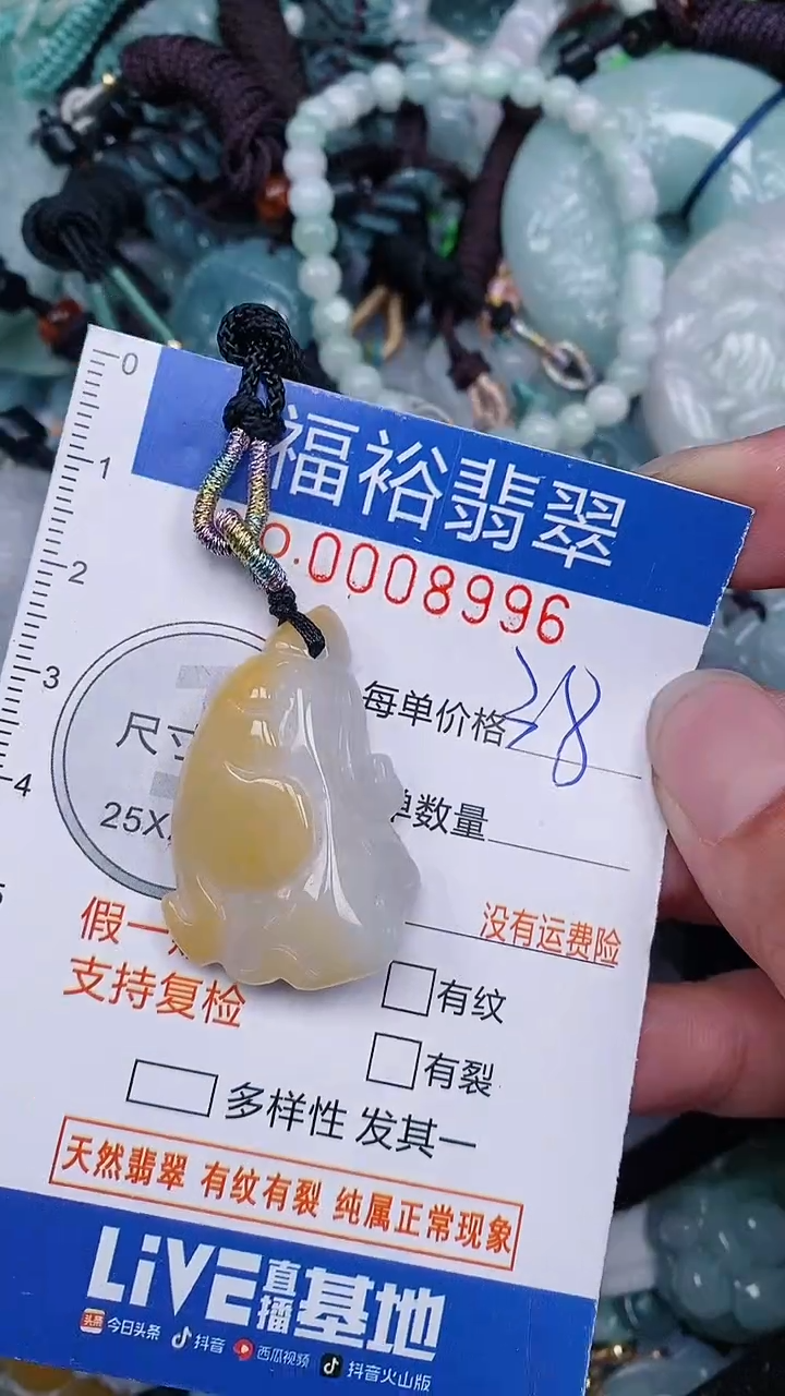 翡翠未镶嵌颈饰...0008996