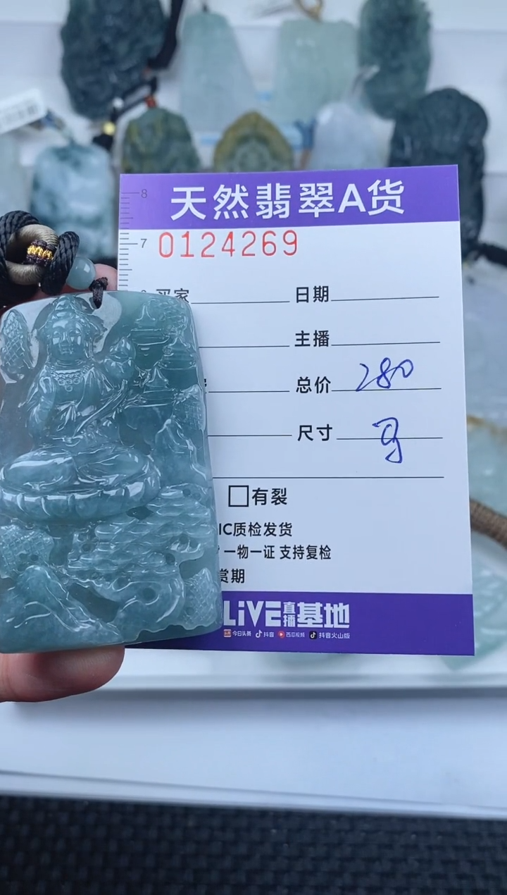 【闪购商品】翡翠颈饰未镶嵌         269