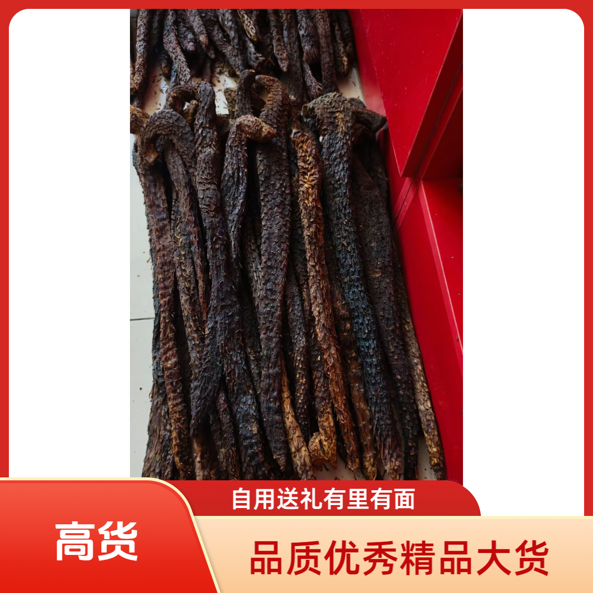 10年以上生阿拉善肉蓉整条高货