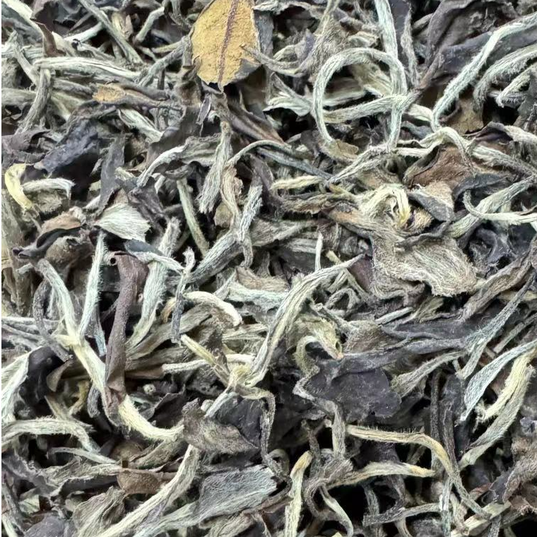 【江缘】福鼎白茶·2012年·白牡丹·华茶一号老树·青龙山