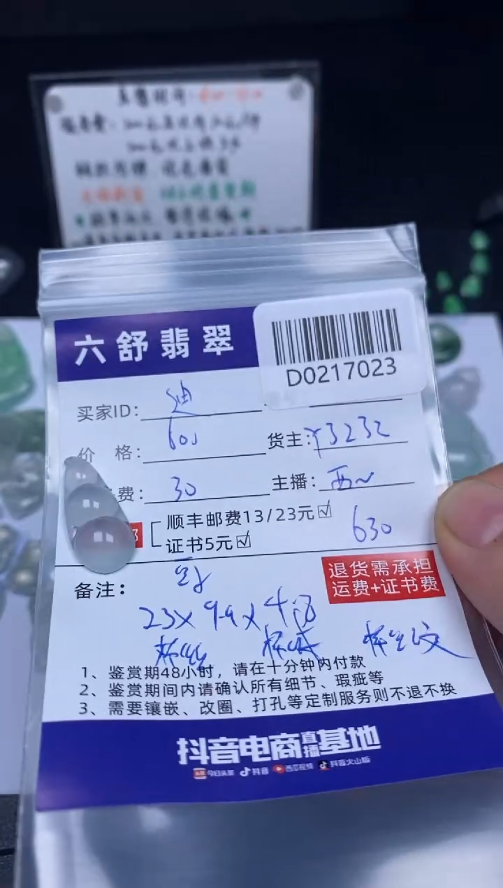 【闪购商品】翡翠吊坠(不含链)未镶嵌D0217023