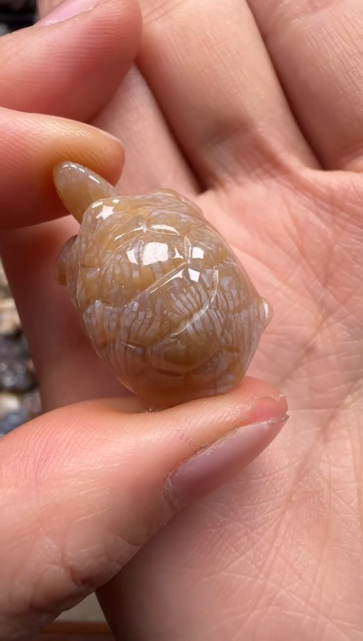 【闪购商品】硅化珊瑚（珊瑚玉）颈饰未镶嵌795