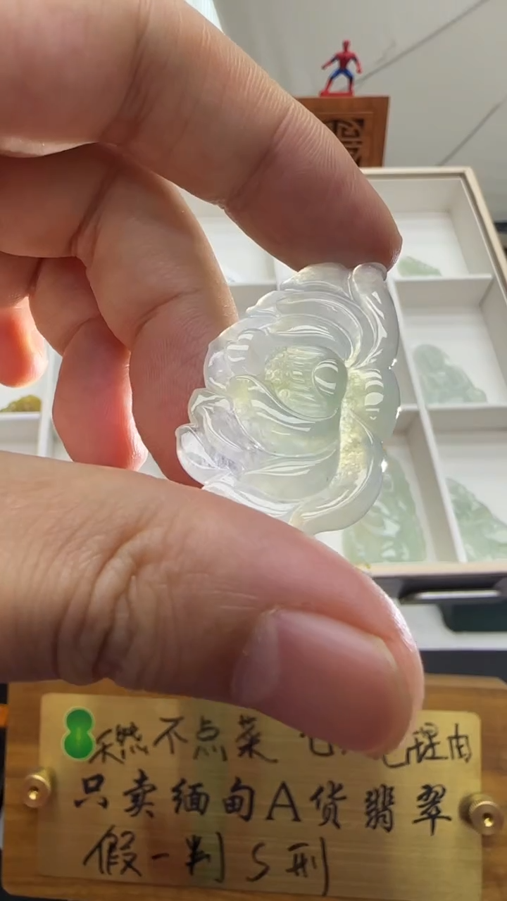 【闪购商品】翡翠挂件未镶嵌A货翡翠多样性孤品