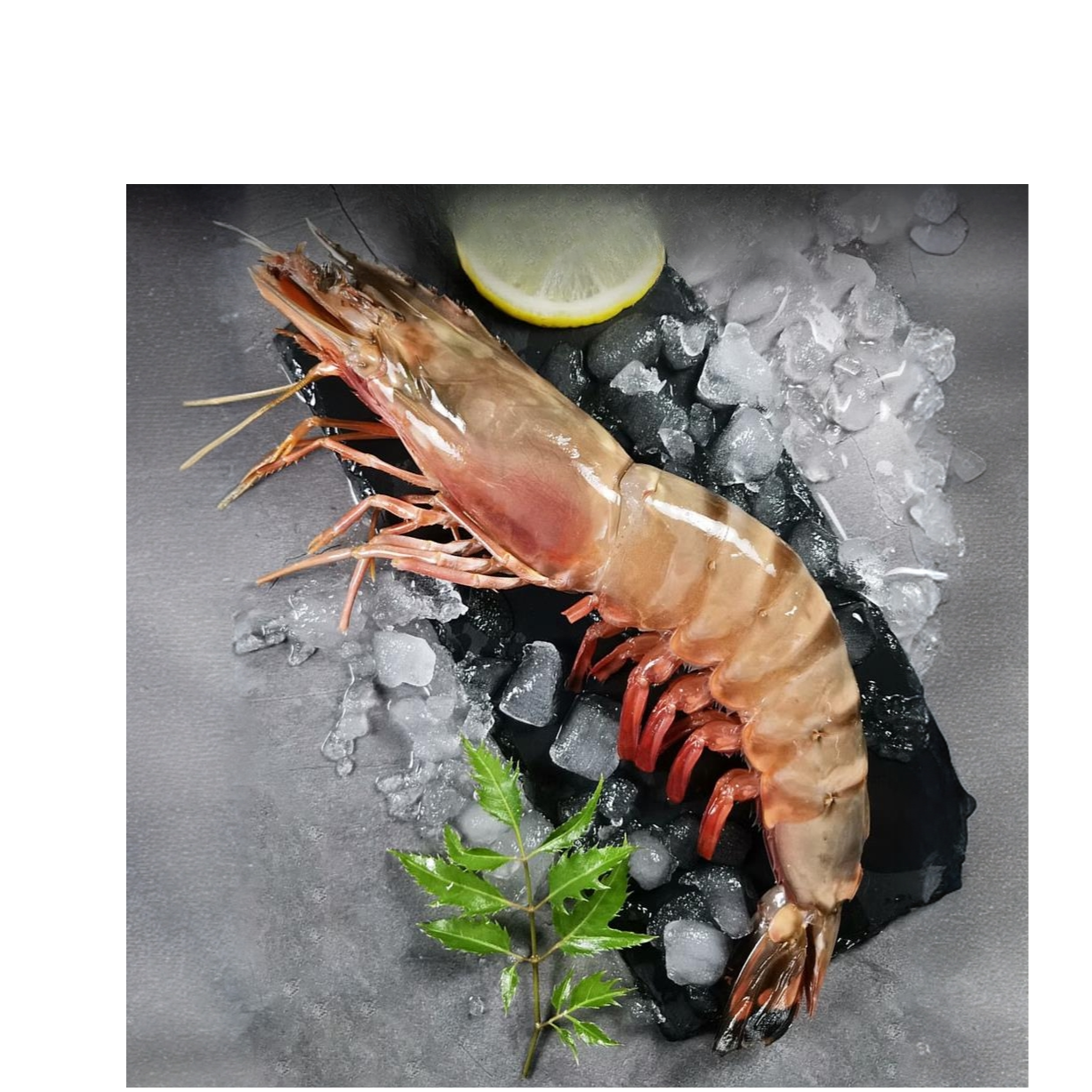 单只8两（2只装共1.6斤） 超大红爪虎虾 福建东山岛海鲜