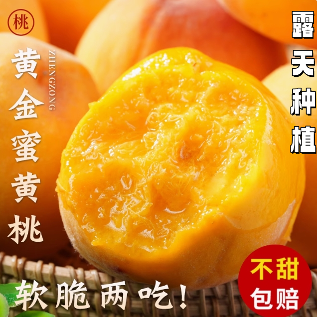 【黄桃 枣阳 】头茬露天黄桃毛桃纯甜脆甜软甜现摘现发老人孕妇A