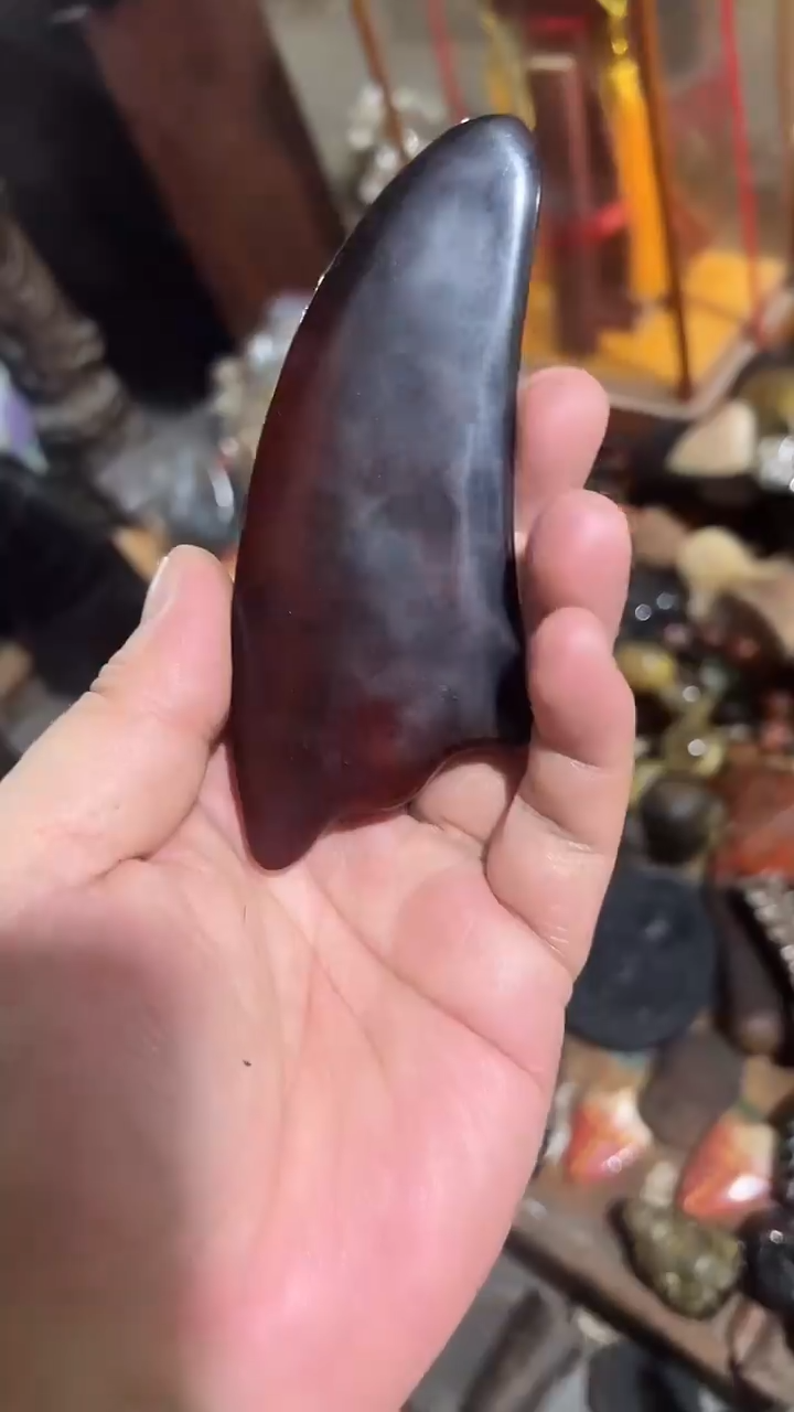 紫砂紫砂紫砂紫砂紫砂紫砂