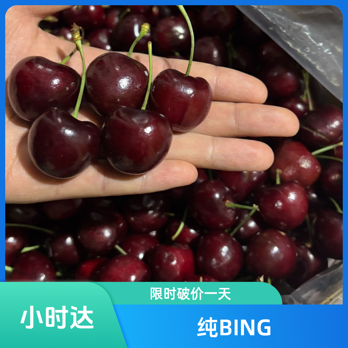 【BING】纯冰 智利海运车厘子 鲜果硬脆甜 2JJ原箱5斤