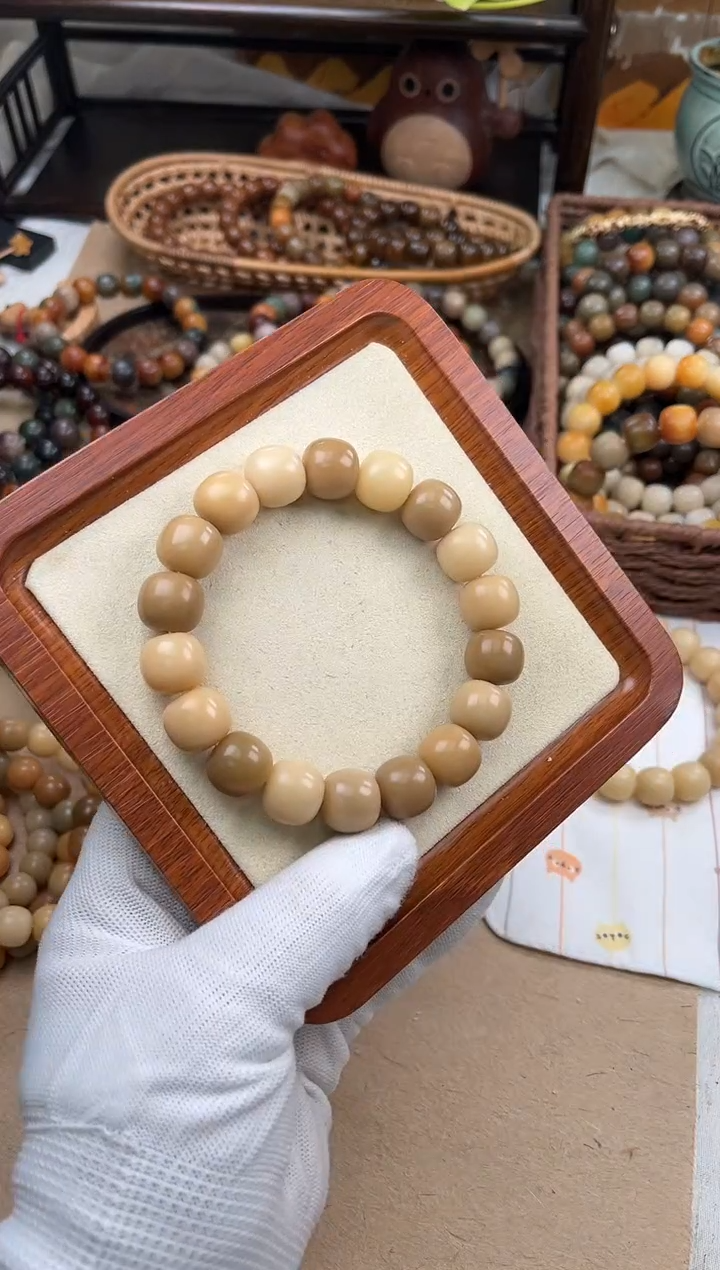 手串菩提根/象牙果.a185 卡14.8 干磨海子