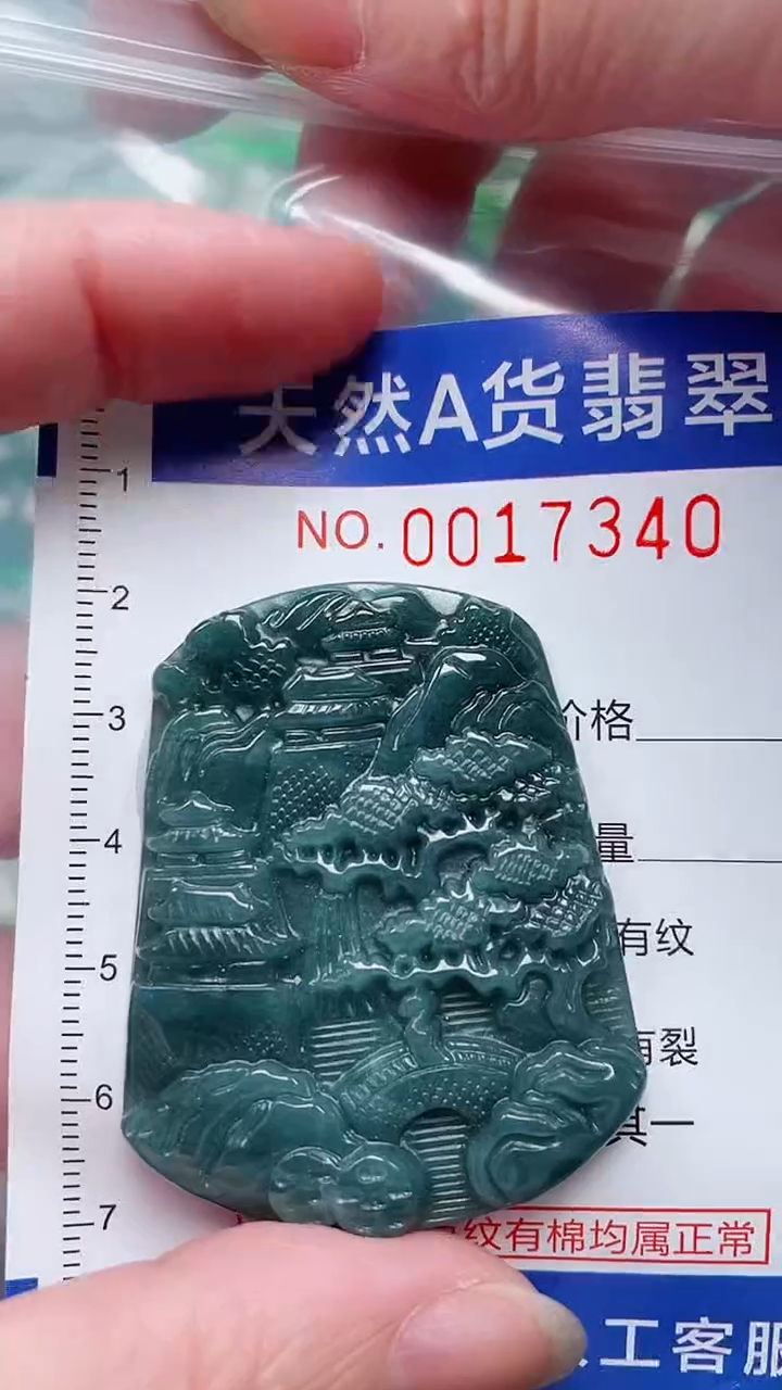 翡翠未镶嵌吊坠(赠链)1