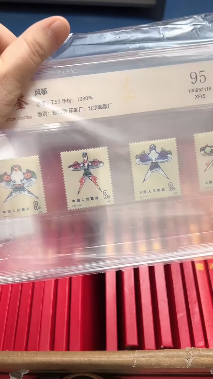 【闪购商品】T50风筝套票（店铺发货）