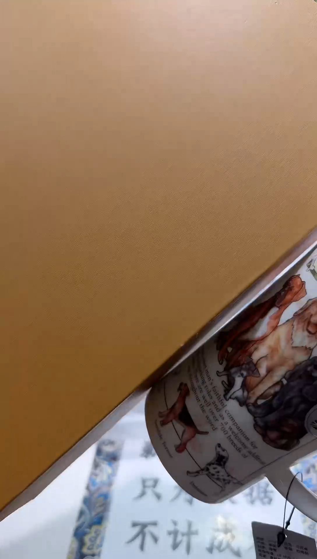 瓷片名品折扣名品折扣名品折扣@@1