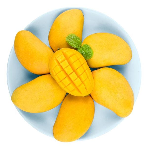 【次日达】新鲜采摘海南小台芒今日拍明日京东到你家-1