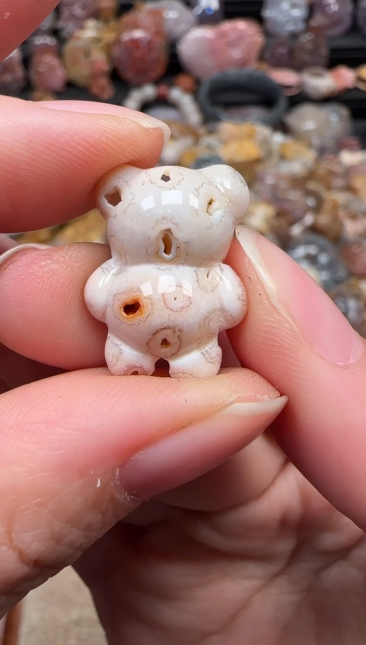 颈饰未镶嵌硅化珊瑚（珊瑚玉）299