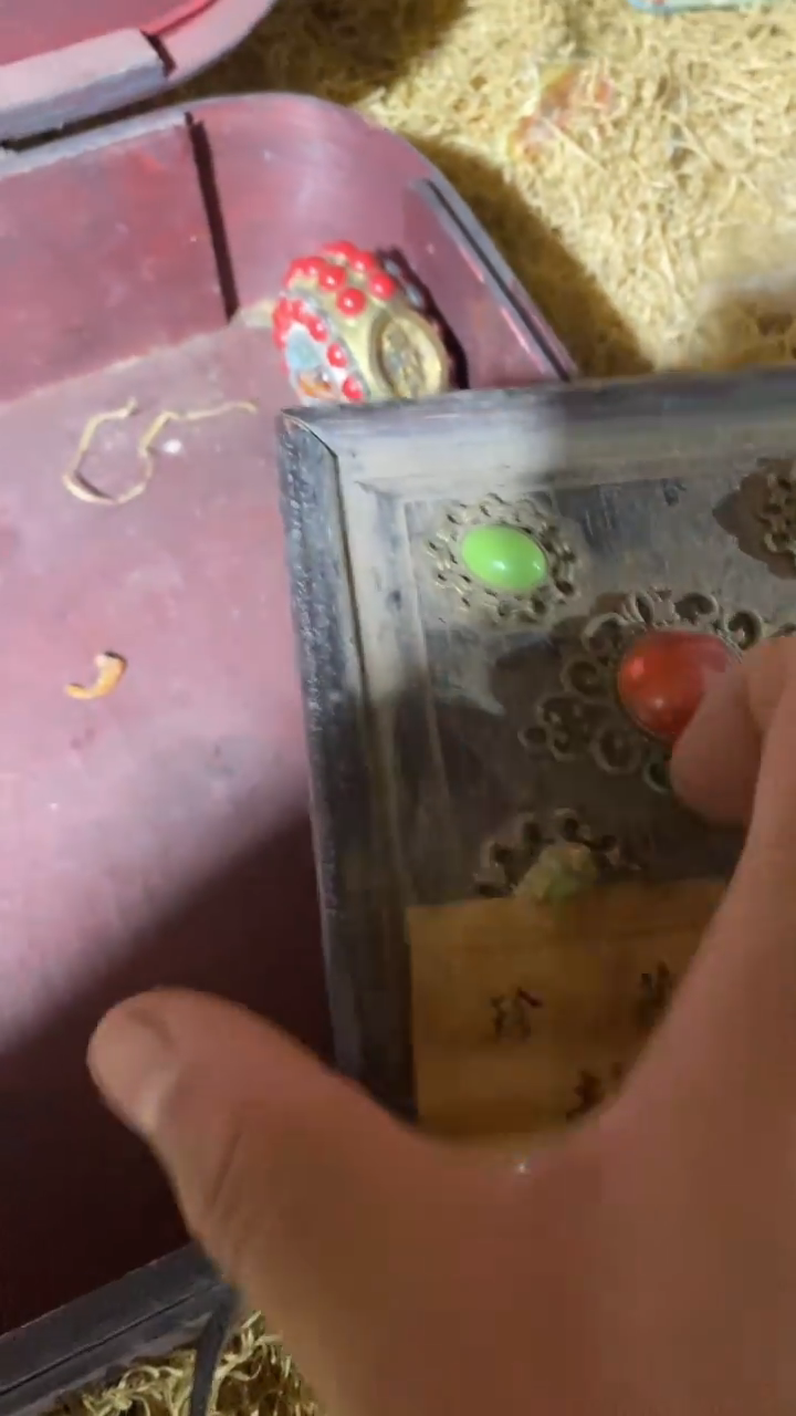 香榧木（1个绿宝宝木头小盒子）