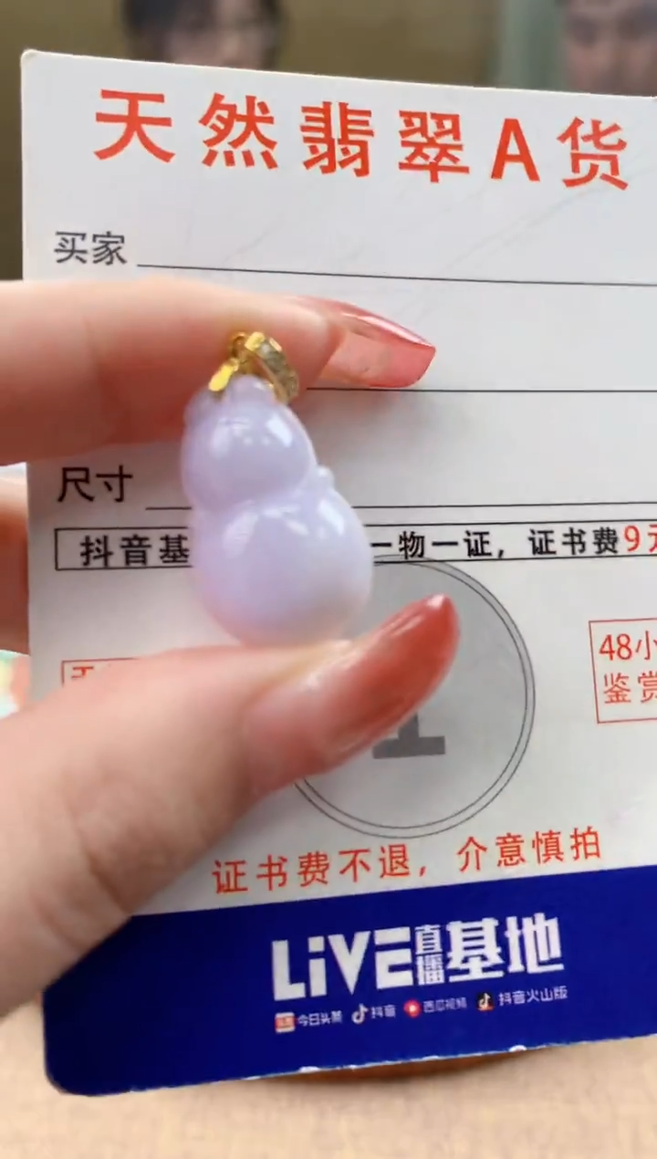 颈饰未镶嵌翡翠天然A货翡翠挂件