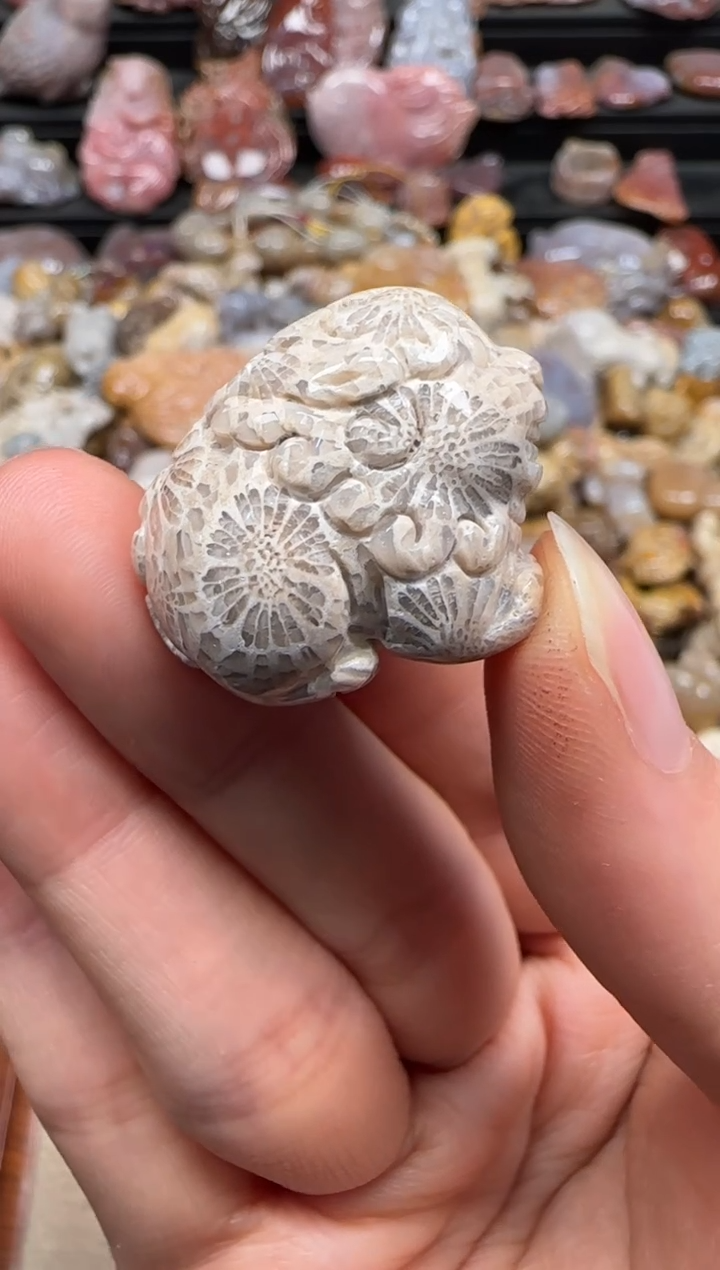 【闪购商品】硅化珊瑚（珊瑚玉）颈饰未镶嵌537