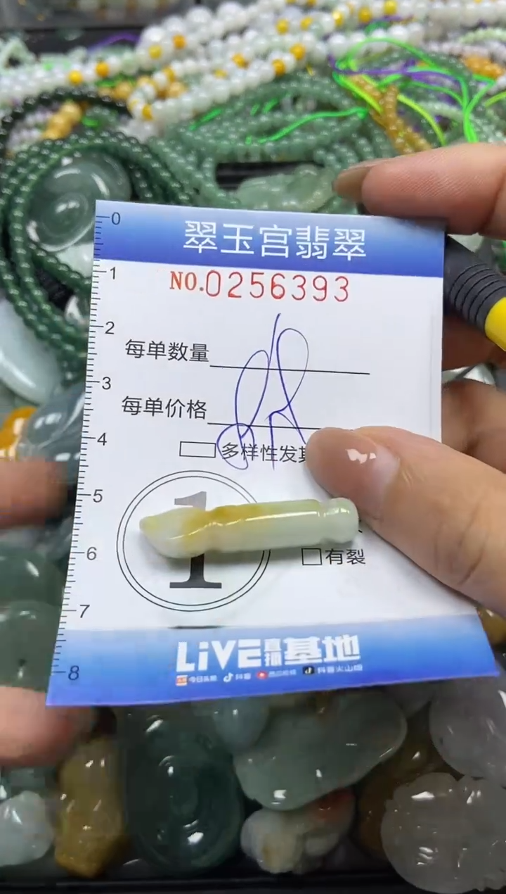 颈饰未镶嵌翡翠闪购C0256393