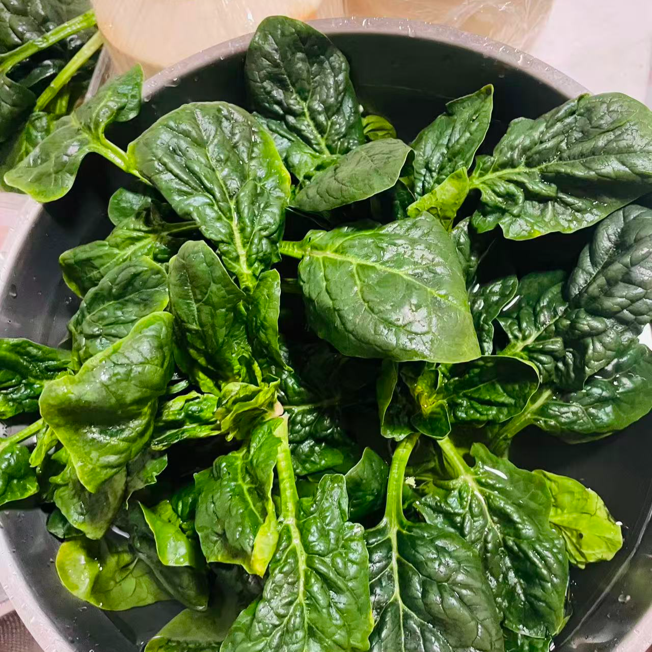 【蔬菜组合】趴地菠菜1斤+黄芯芹1斤+韭黄1斤+人参萝卜2斤