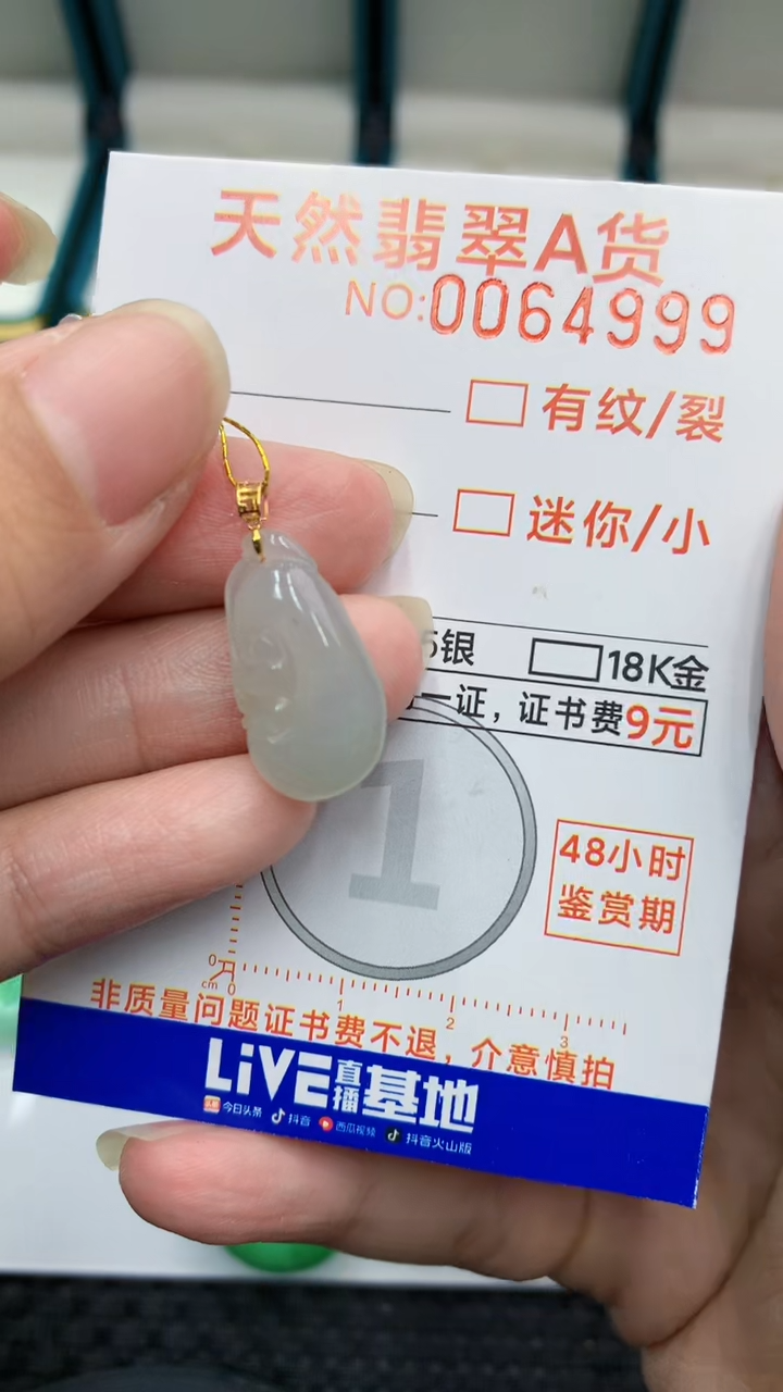 【闪购商品】翡翠颈饰18K金镶嵌            8
