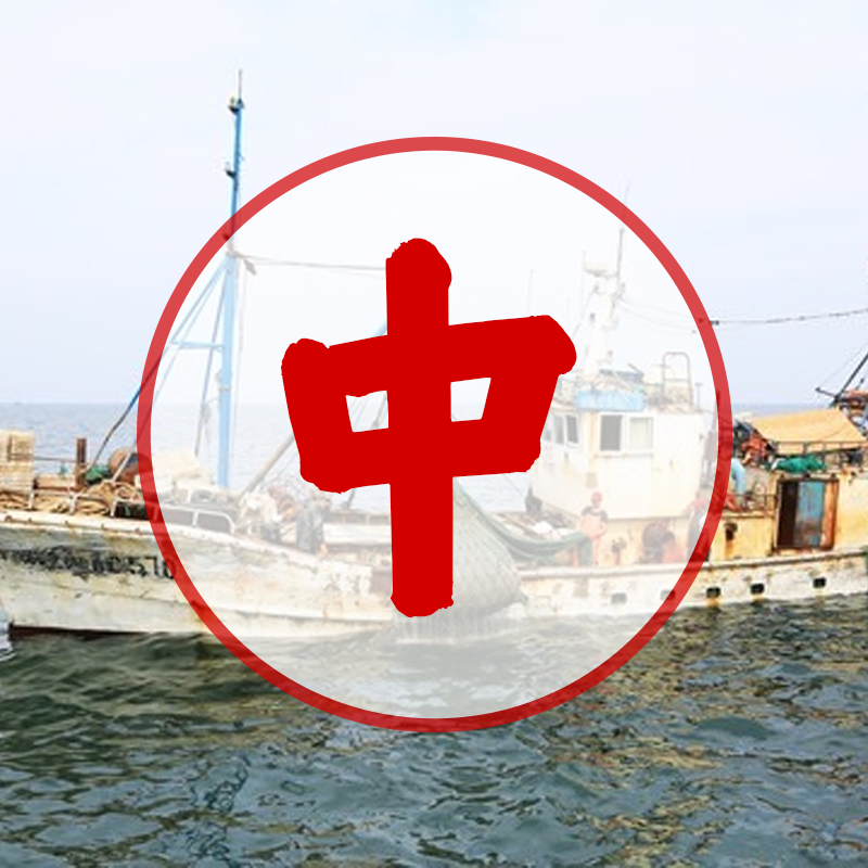 [中号 3克一对] 顺丰包邮 海干货煲汤材料 B9