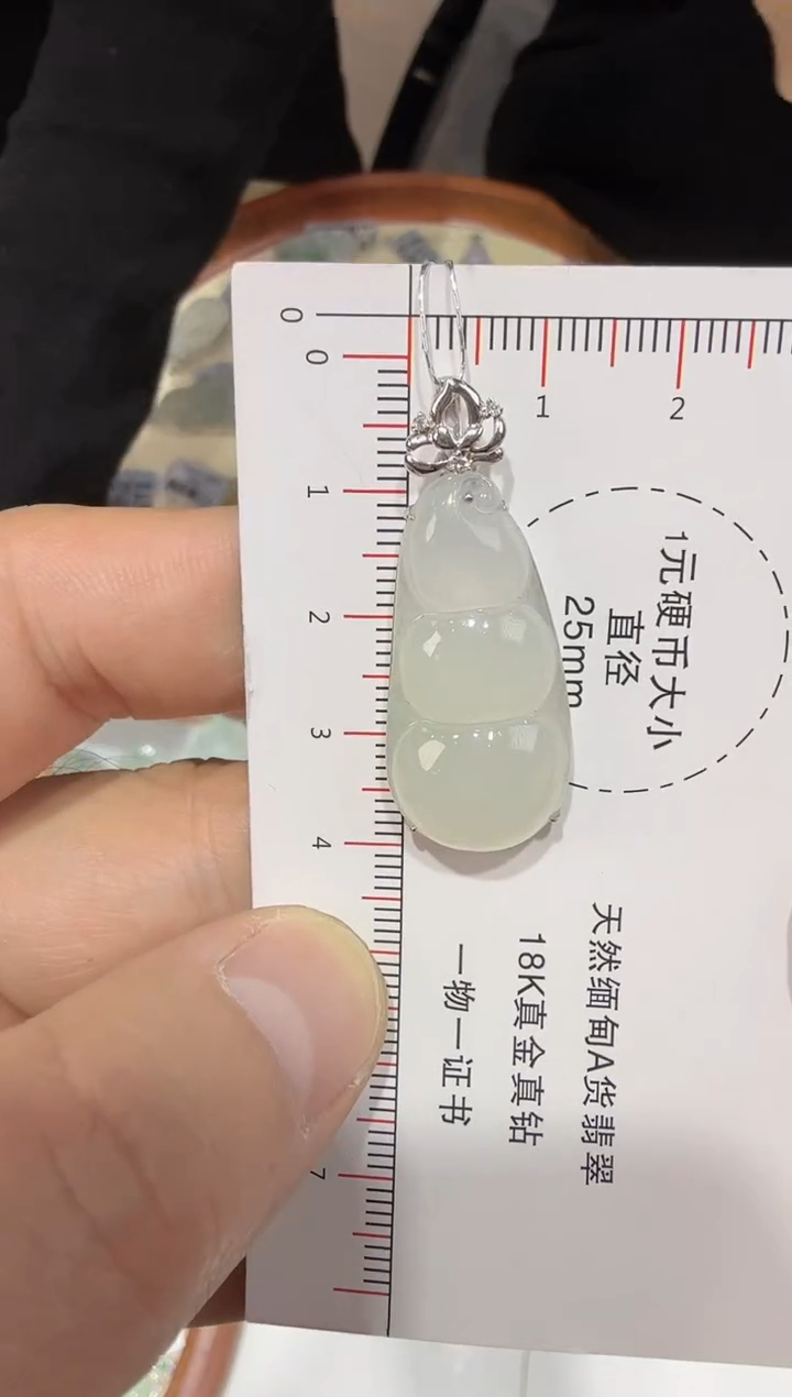 【闪购商品】翡翠吊坠(赠链)18K金镶嵌77-豆子