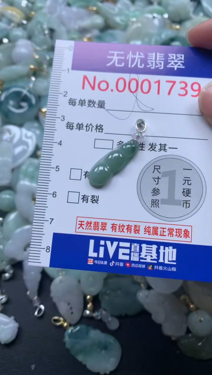 颈饰未镶嵌翡翠1739