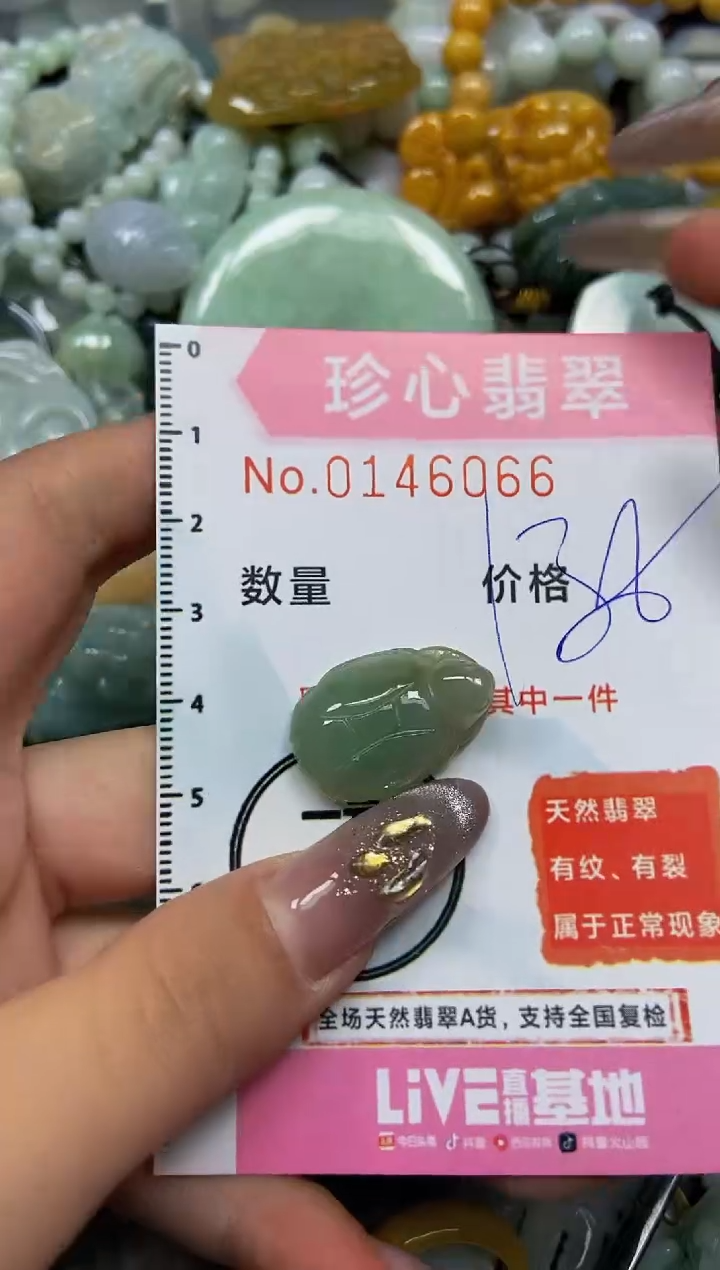 【闪购商品】翡翠颈饰未镶嵌闪购0146066