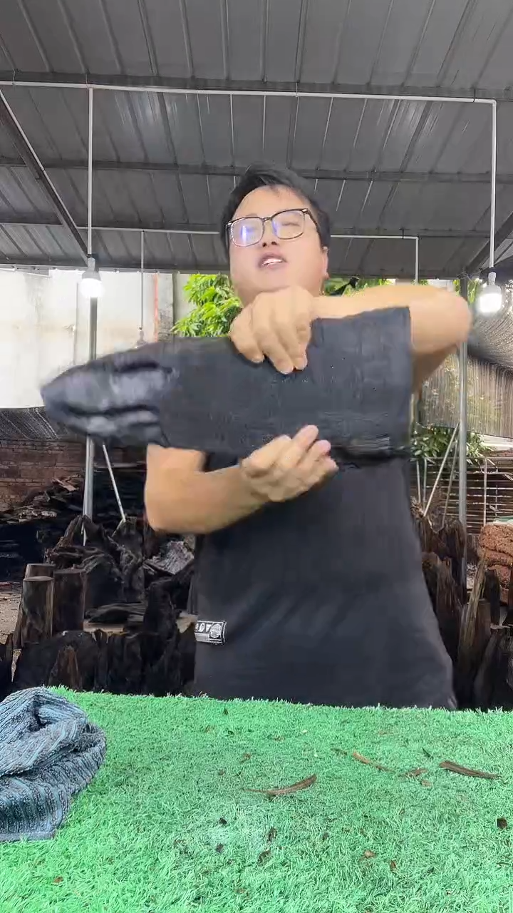 金丝楠小叶桢楠228