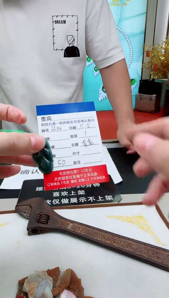 颈饰未镶嵌翡翠LL14翡翠吊坠-多样性发其一