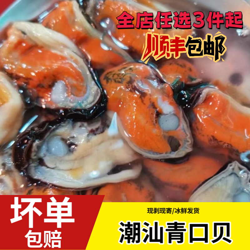 新鲜当天现剥绿壳青口 鲜活淡菜 海虹 冰鲜发货顺丰包邮
