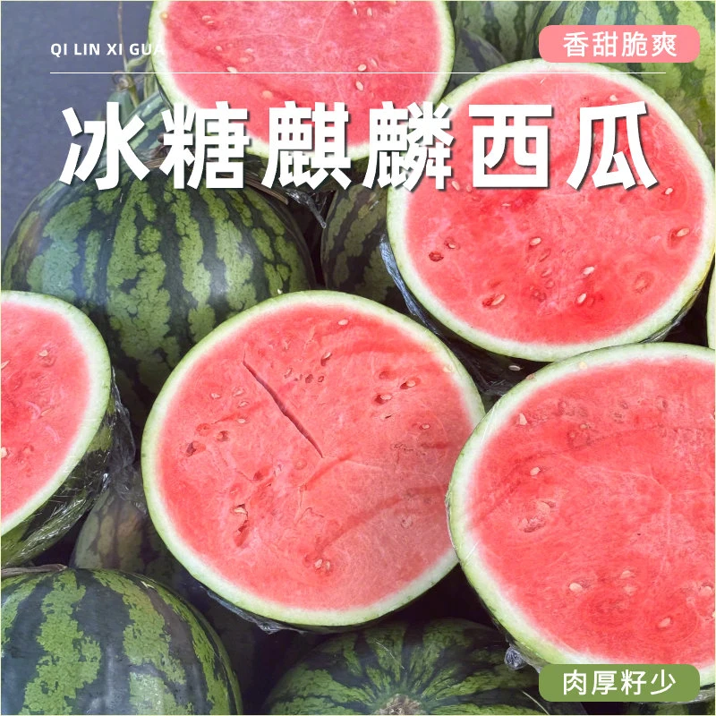 云南麒麟西瓜薄皮脆甜多汁红瓤新鲜水果当季采摘