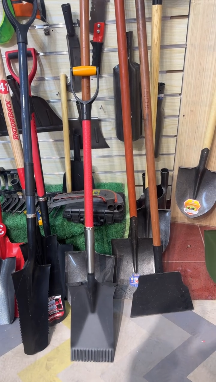 红色纤维柄锯齿平口