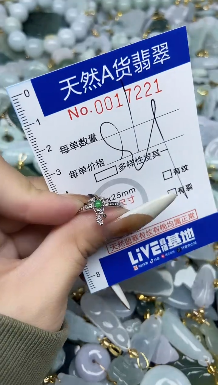 【闪购商品】翡翠颈饰未镶嵌天然A货翡翠